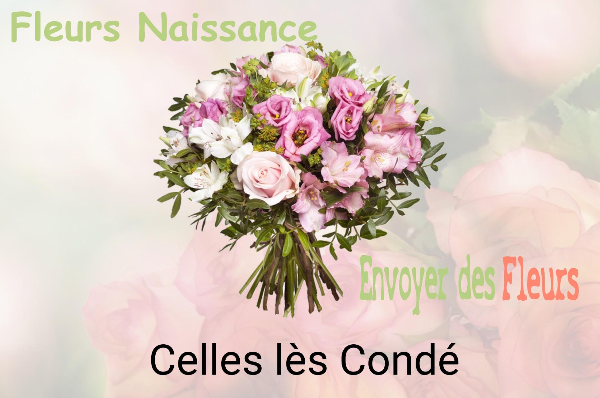 Bouquet de fleurs de naissance livré à Celles-lès-Condé